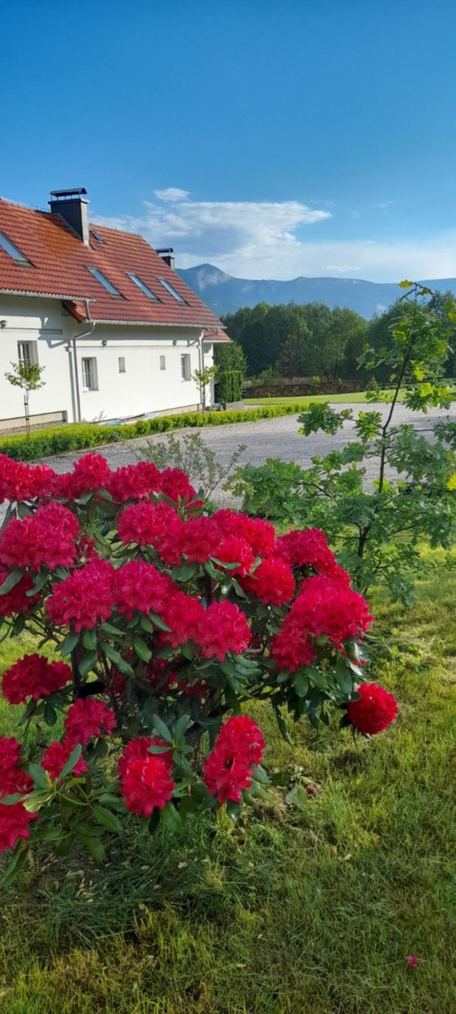 Wysokie Laki Domki W Gorach Kowary Exterior photo