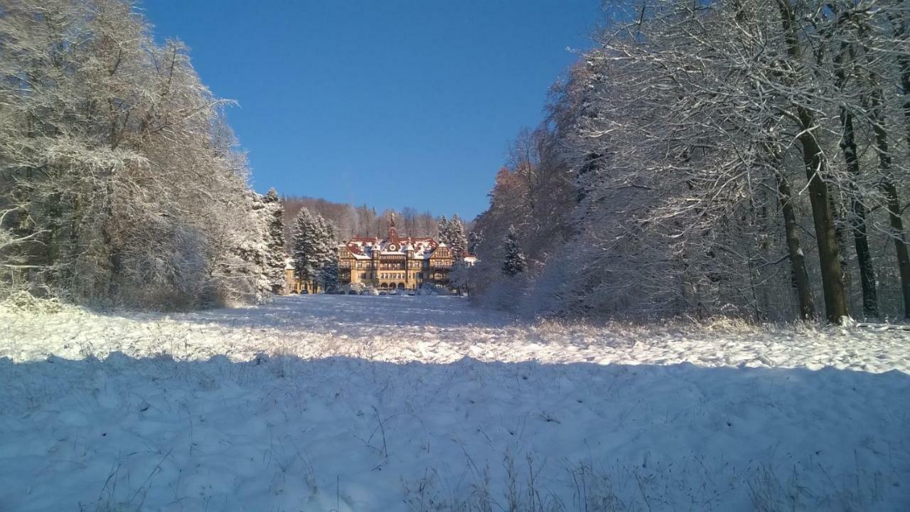 Wysokie Laki Domki W Gorach Kowary Exterior photo